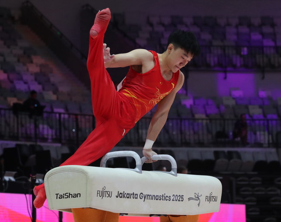 岑云鹏, aGtMA, 杠项目比赛