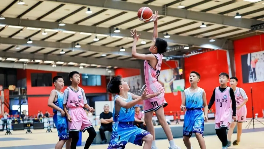 安排, 年基础 安排, 年基础